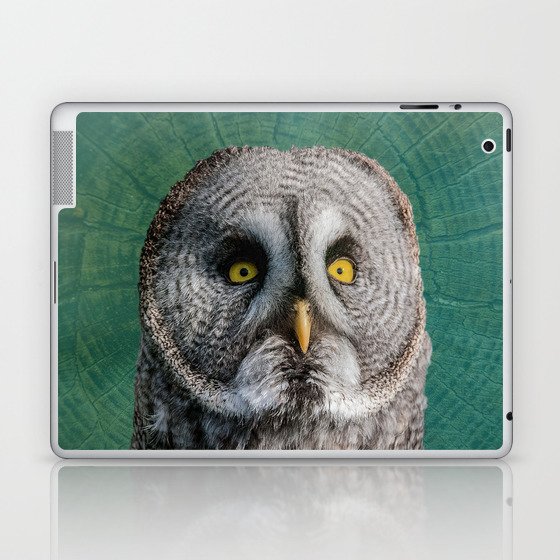 GREY OWL Laptop & iPad Skin
