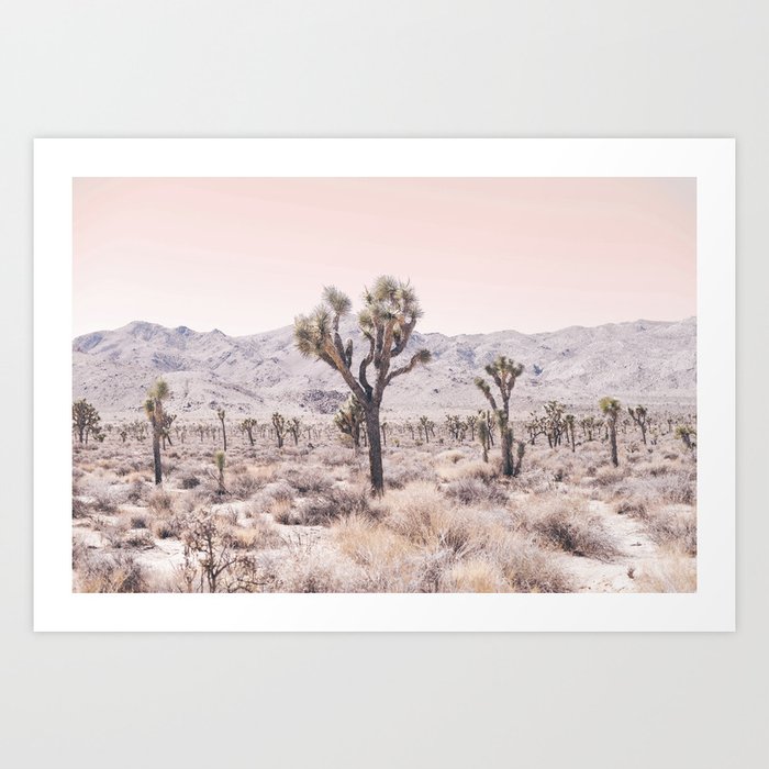 Joshua Tree Kunstdrucke Joshua Tree Kunstdrucke