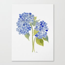 Blue Gouache Hydrangea Canvas Print