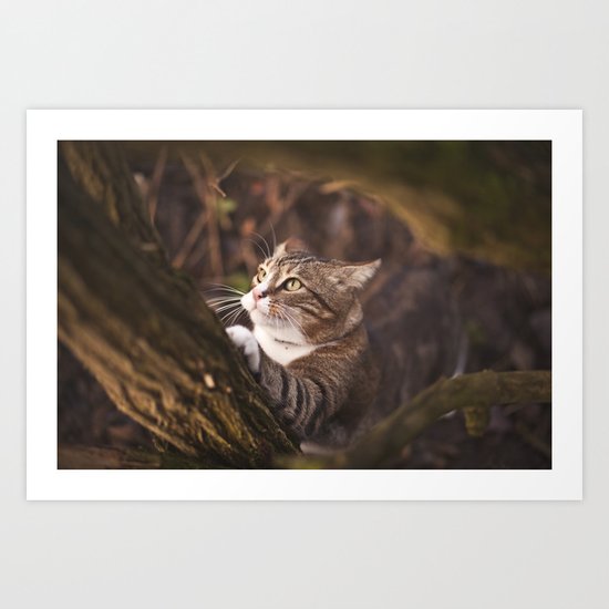 Chrapcio the Fierce Art Print