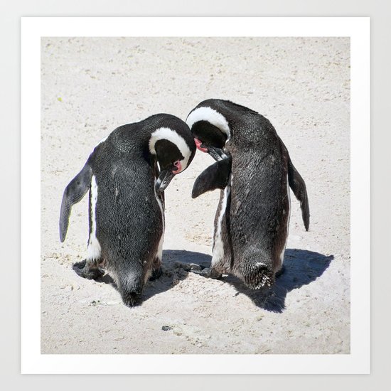 Penguins of Boulder Beach Art Print