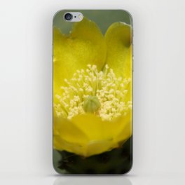 Yellow Cactus Pear Flower Close Up Photography iPhone Skin