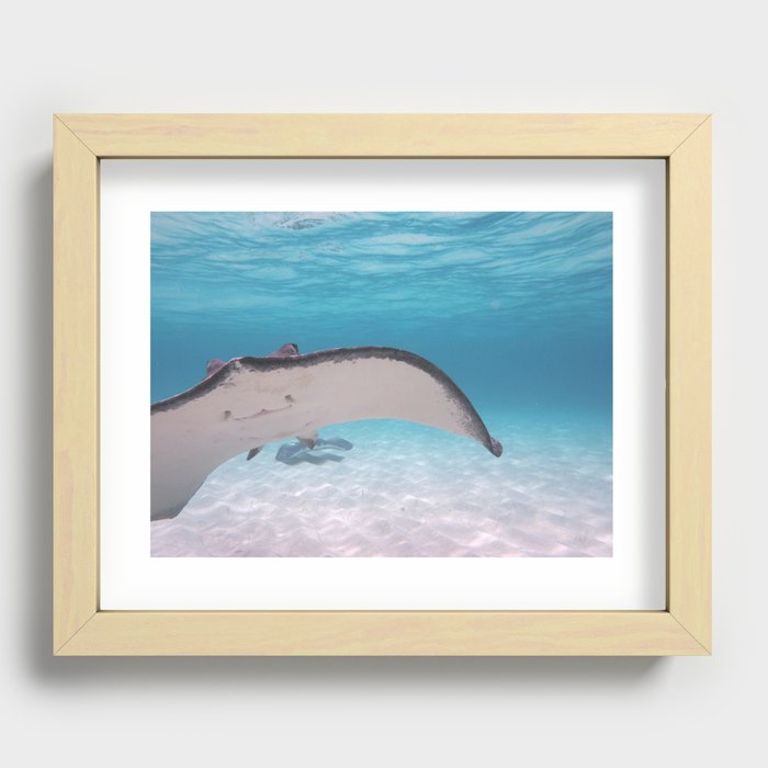 fly by Recessed Framed Print