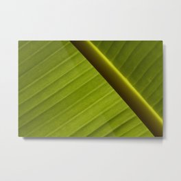 Banana Leaf Metal Print | Foliage, Forest, Bright, Organic, Macro, Tropical, Detail, Flora, Plant, Leaf 
