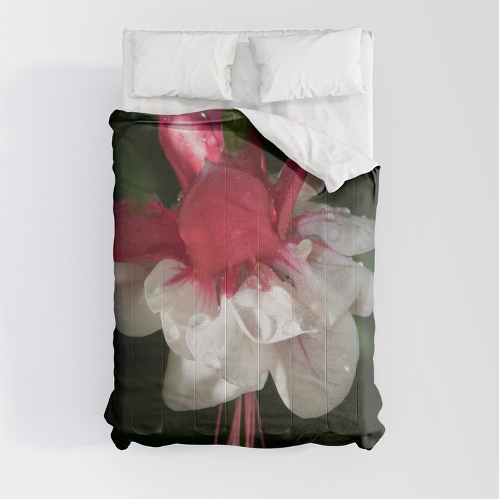 June Fuchsia Comforter