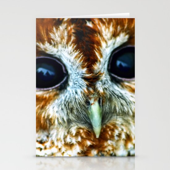 Owl Stationery Cards