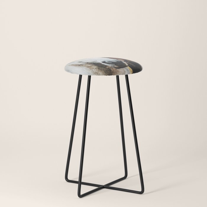 Counter Stool