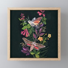 Hummingbird Moth Framed Mini Art Print