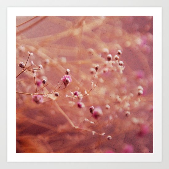 summerlight Art Print