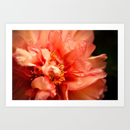 Flower Art Print