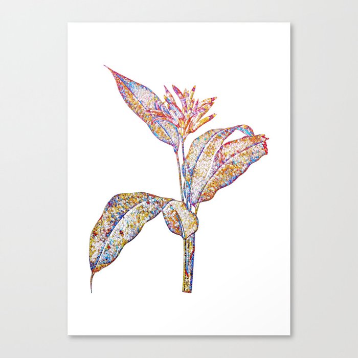Floral Lobster Claws Mosaic on White Canvas Print