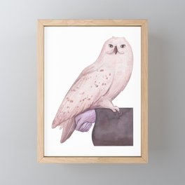 Hedwig Owl Framed Mini Art Print