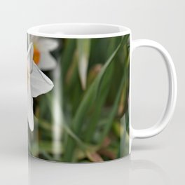Spring Daffodil Coffee Mug