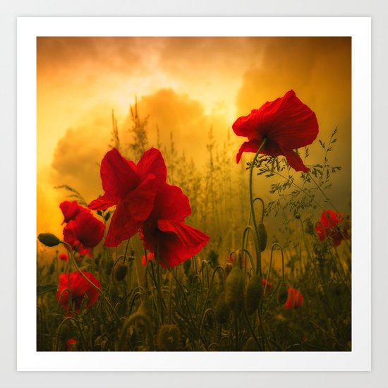 Red For Love Art Print