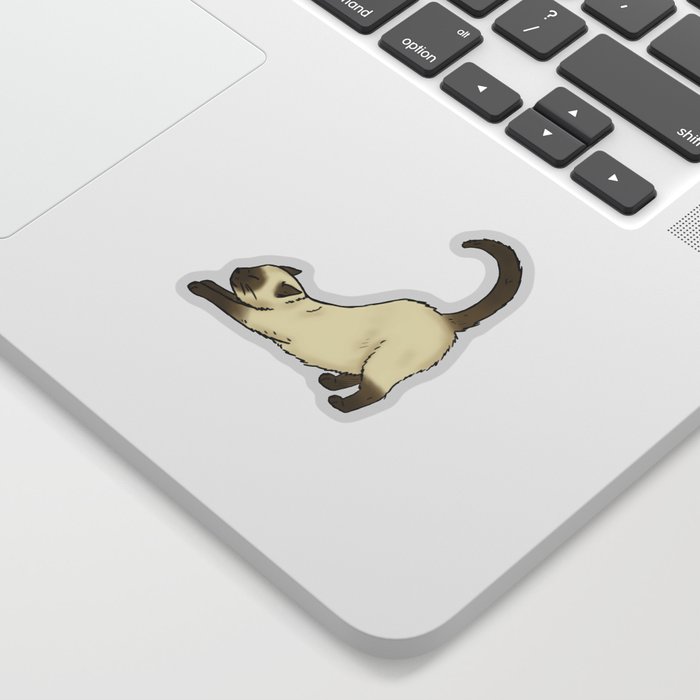 Siamese cat stretching Sticker