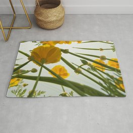 Looking Through Yellow Daisies to the Sky Rug