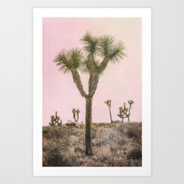 Joshua Tree iii - Surreal Desert Set Art Print
