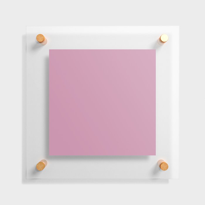 Bonny Belle Pink Floating Acrylic Print