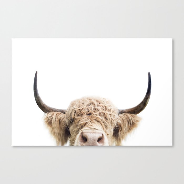 Peeking Highland Cow Canvas Print By Katypie Society6
