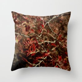 Autumnal wild rosehip shrub in Argentina, Patagonia 2021 Throw Pillow