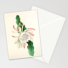  Cactus by Clarissa Munger Badger, 1866 (benefitting The Nature Conservancy) Stationery Card