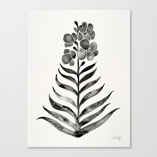 Blooming Black Orchid Canvas Print
