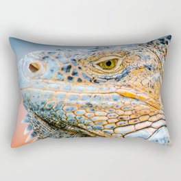 Mexico Photography - Green Iguana Relaxing Under The Sun Rectangular Pillow
