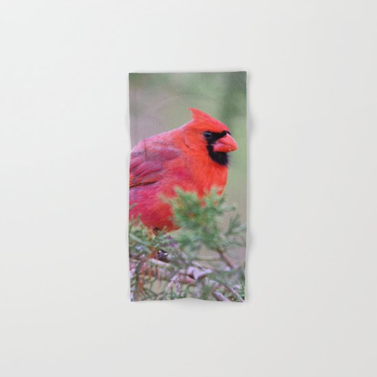 Spring Cardinal Hand & Bath Towel