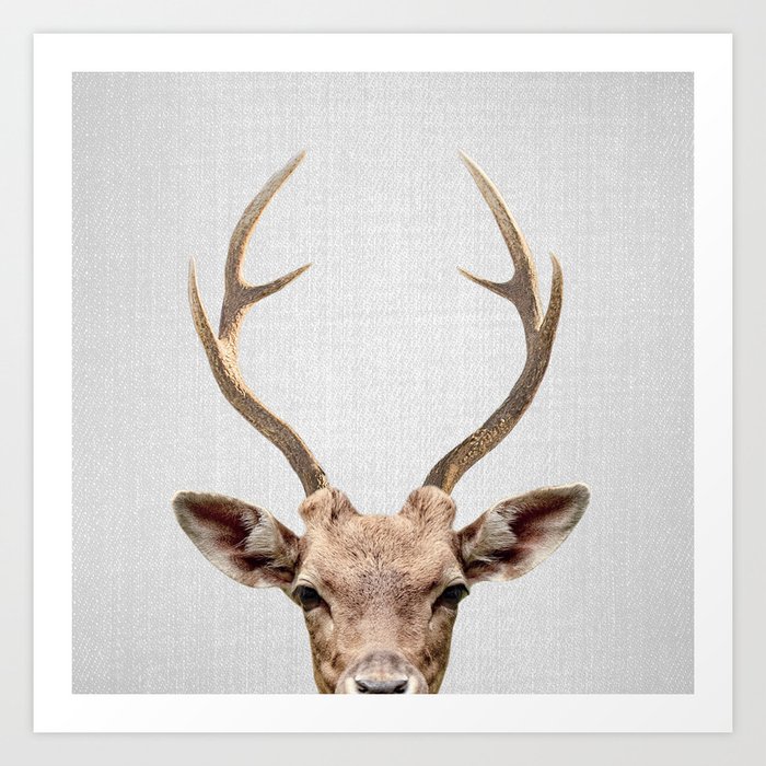 Deer - Colorful Art Print