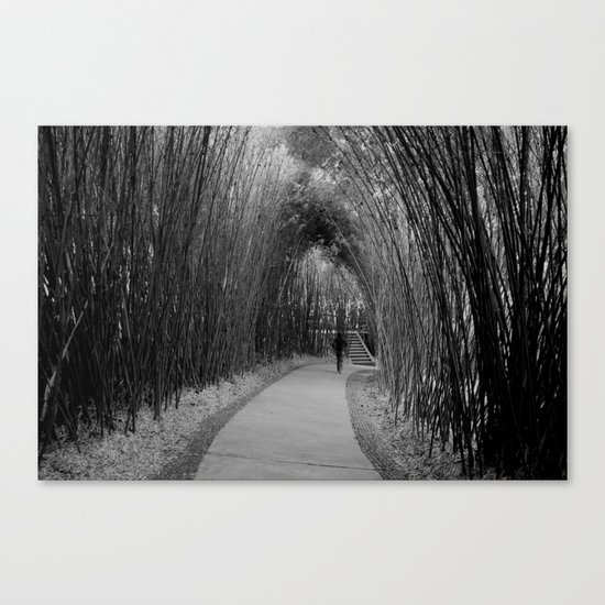 bamboo path Canvas Print