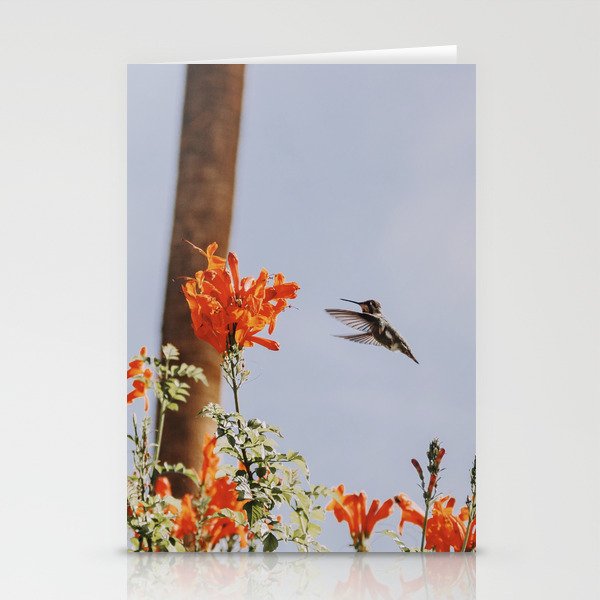Hummingbird / Palm Springs Stationery Cards