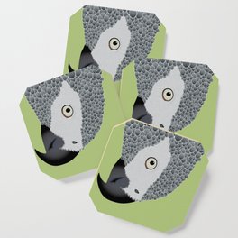African Grey Parrot [ON SPRING GREEN] Coaster
