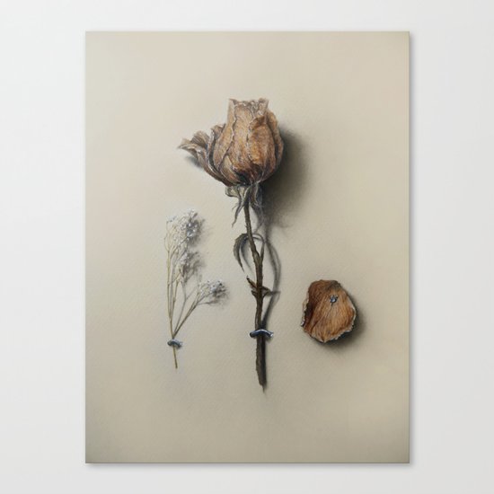 Dried Rose Canvas Print
