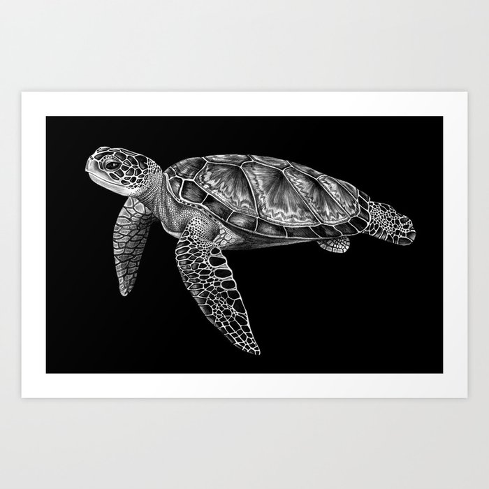 Sea Turtle 1 Art Print by Tim Jeffs Art | Society6