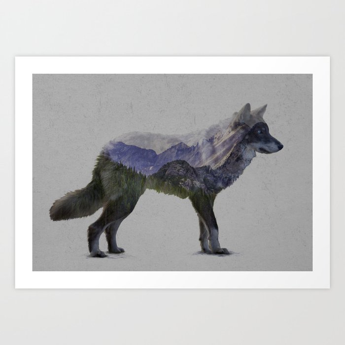 The Rocky Mountain Gray Wolf Art Print