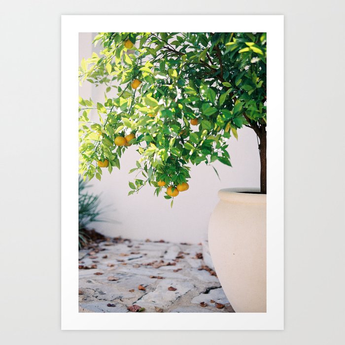 Art Print