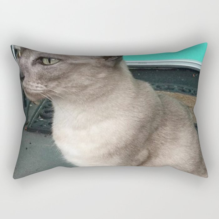Australia cat Rectangular Pillow