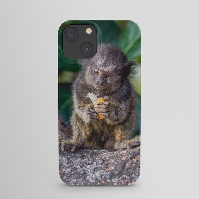 Brazil Photography - Monkey Eating On A Branch iPhone Case