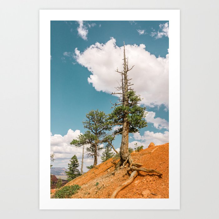 Queens Garden Trail Landscape in Bryce Canyon Art Print