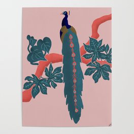 Teal Jungle Peacock Poster