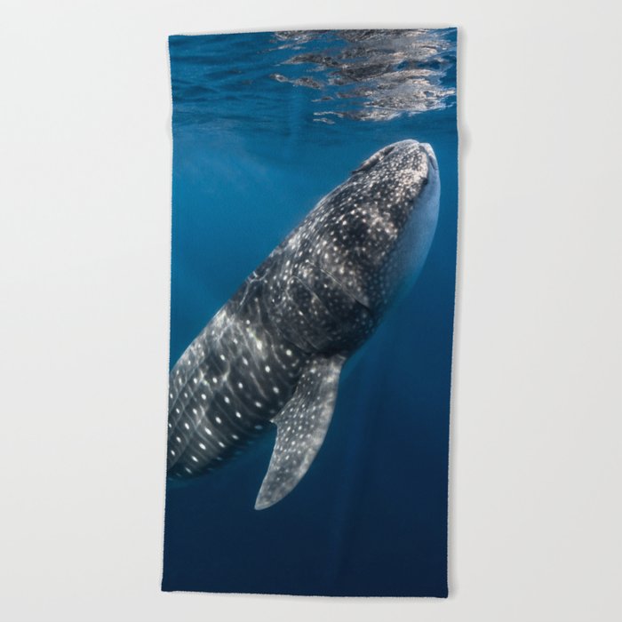 Tranquility Beach Towel