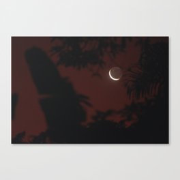 The moon between trees Canvas Print