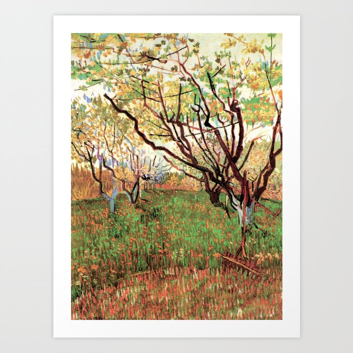 Orchard in Bloom Vincent Van Gogh Art Print