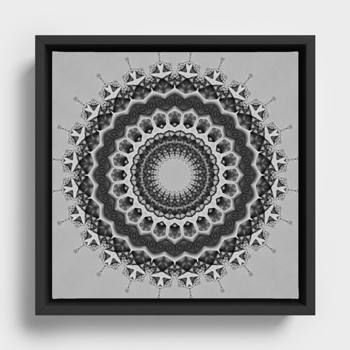 Timeless Mandala Framed Canvas
