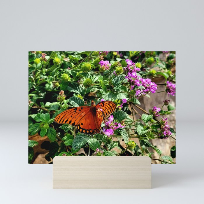 Vibrant Butterfly Mini Art Print