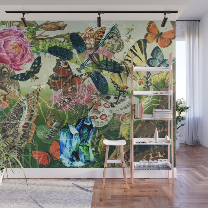 The Cabinet of Curiosities Wall Mural