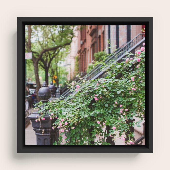 Framed Canvas