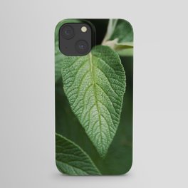 Textured Sage Leaf iPhone Case