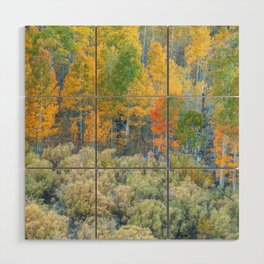 Autumn Colors Wood Wall Art