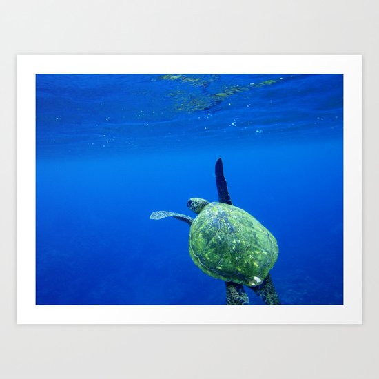 Turtle of the Sea Art Print